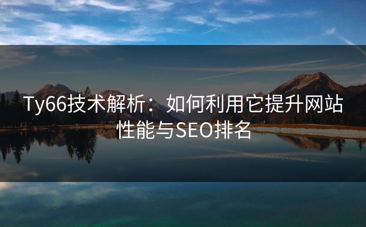 Ty66技术解析：如何利用它提升网站性能与SEO排名