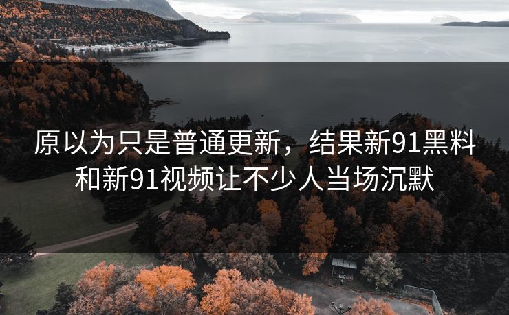 原以为只是普通更新，结果新91黑料和新91视频让不少人当场沉默